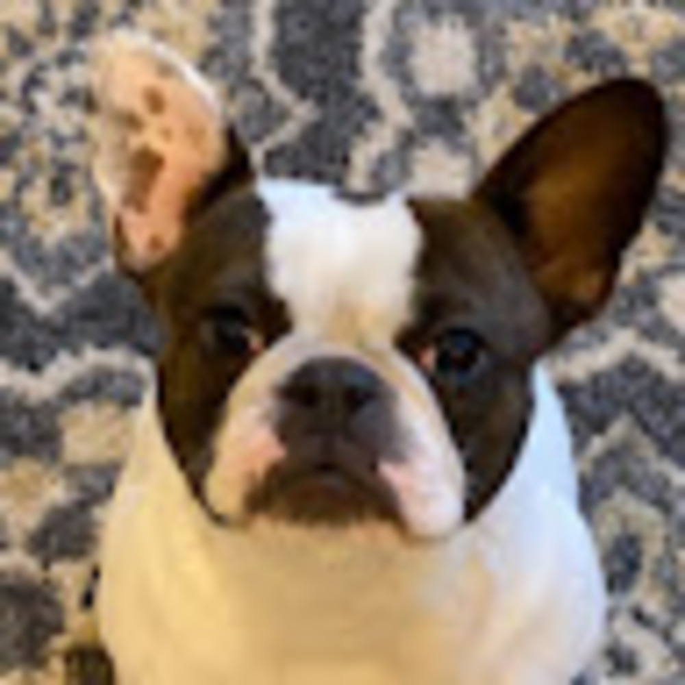 Meet your Posher, B.